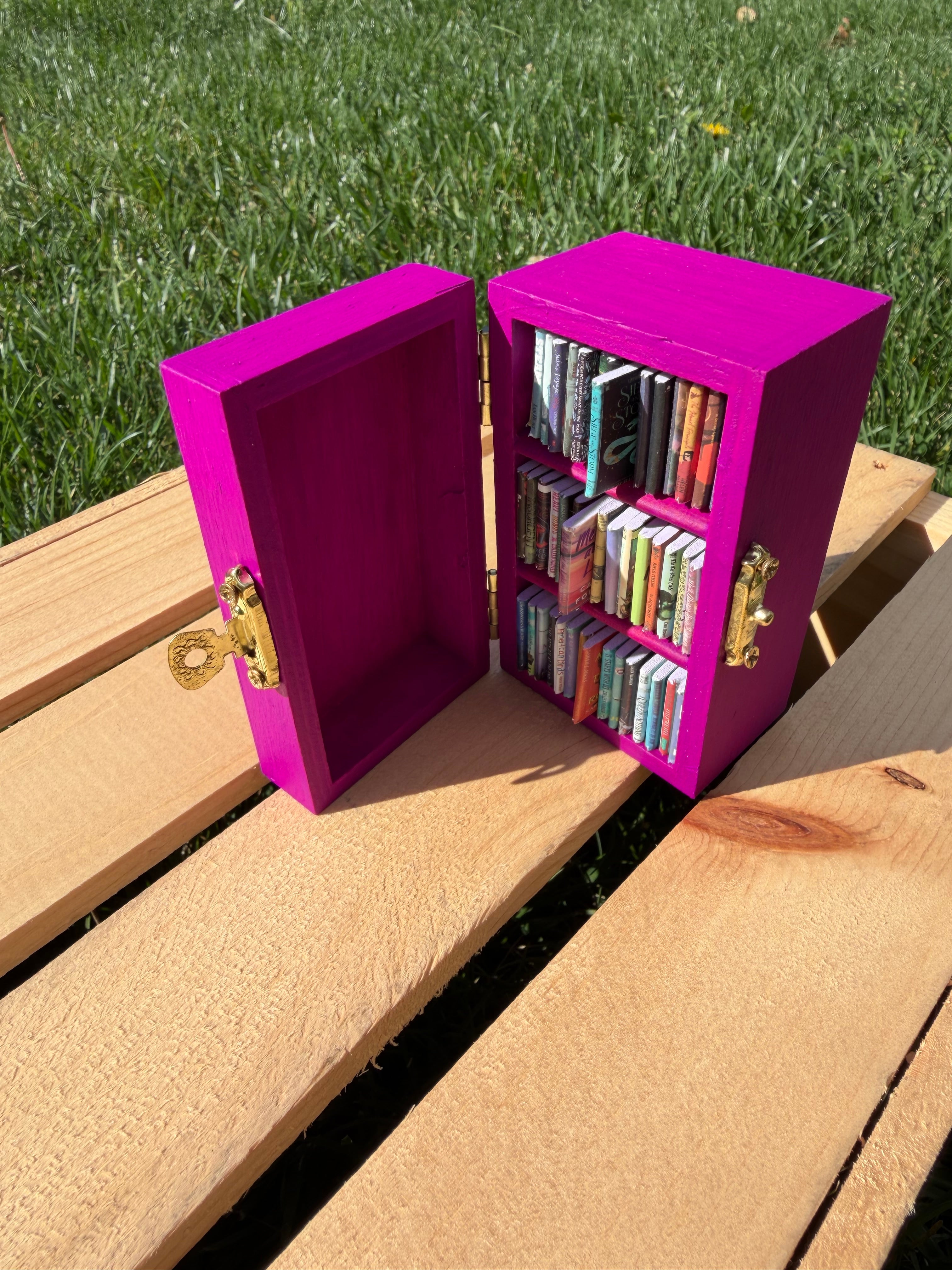 Mini Bookshelves with Removable Books