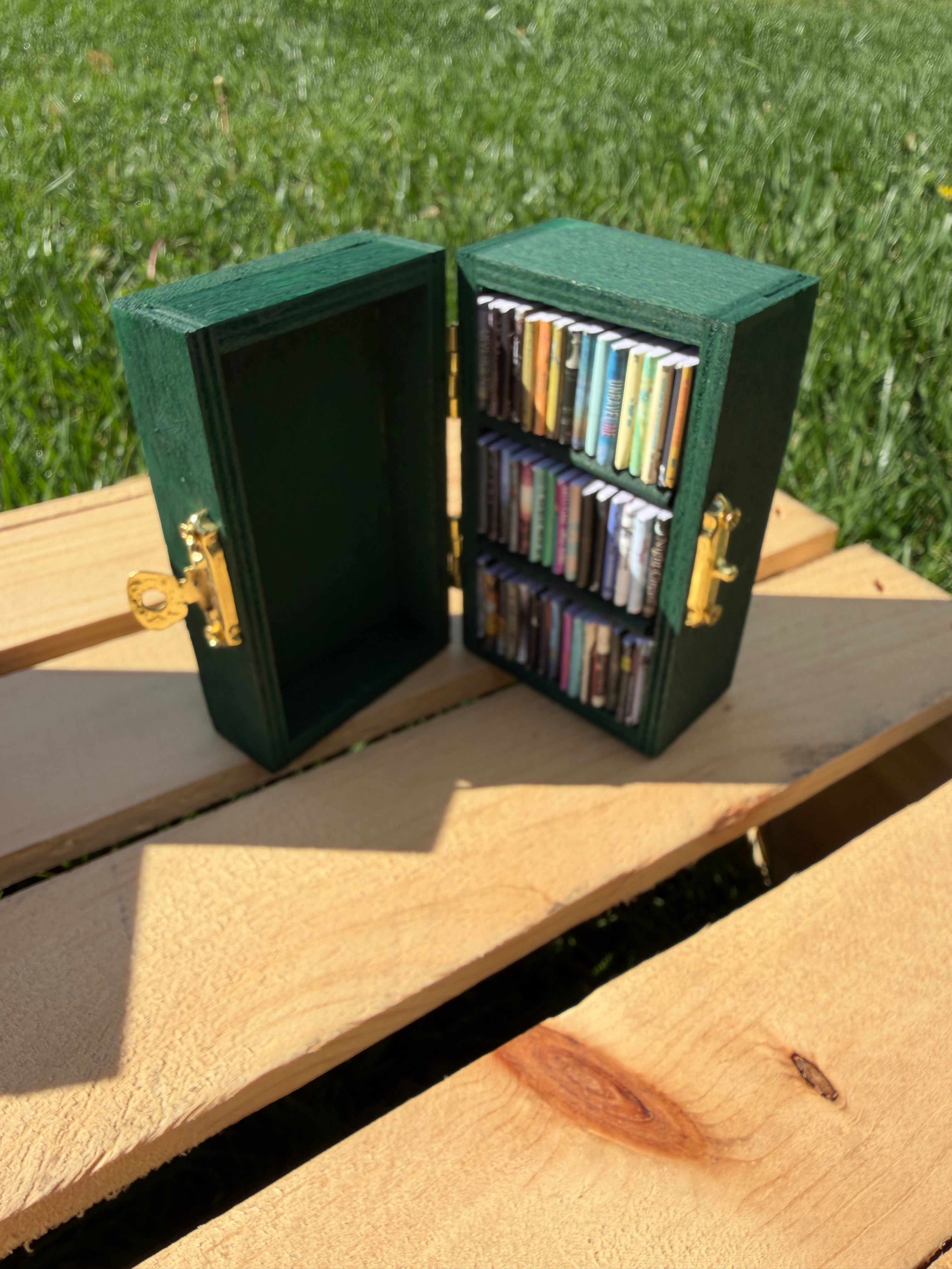 Mini Bookshelves with Removable Books